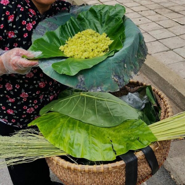 Cốm non